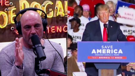 Joe Rogan Donald Trump split image
