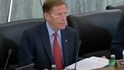 Richard Blumenthal at Senate hearing