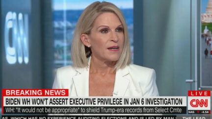 Alice Stewart Mocks Arizona 'Cyber Nimrods'