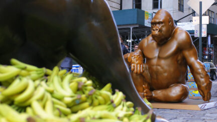 Harambe Statue in NYC 1