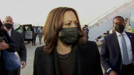 Kamala Harris Denounces Rittenhouse Verdict, Says 'Clearly There's A Lot More Work To Do'