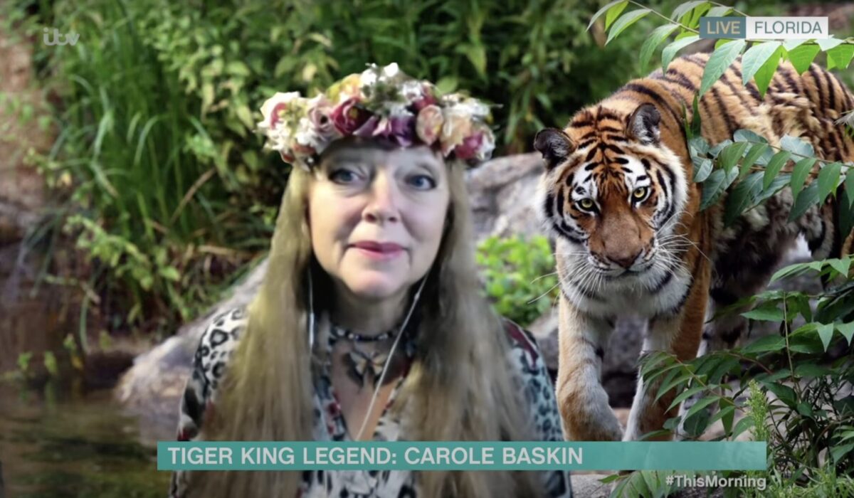 Carole Baskin on ITV's This Morning
