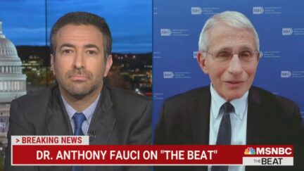 Ari Melber and Anthony Fauci