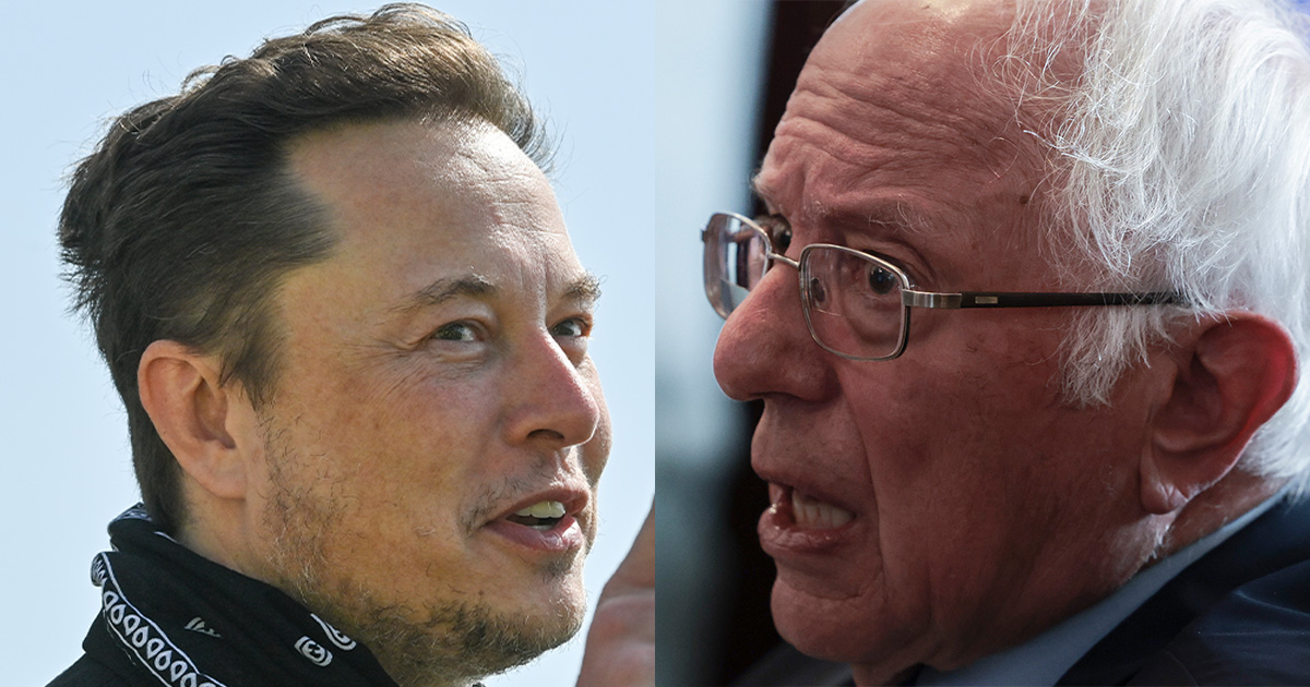Elon Musk Bernie Sanders