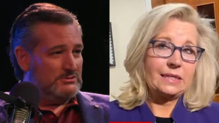 ted cruz vs liz cheney