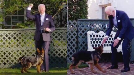 Joe Biden Commander Biden