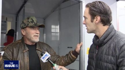 Schwarzenegger visits tiny homes for veterans