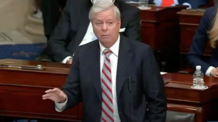 Lindsey Graham