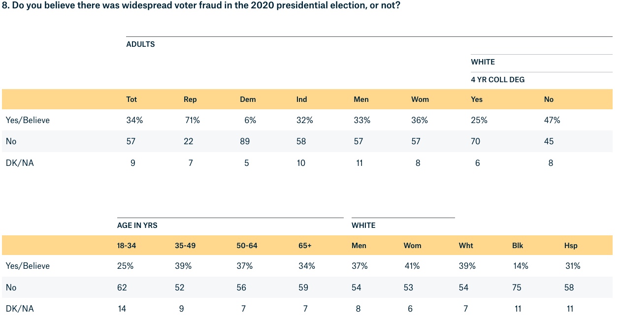 2020 voter fraud poll