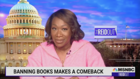 Joy Reid Invokes Hitler to Warn ‘Book Burning’ Has Arrived