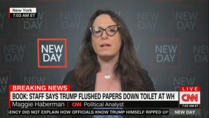 Maggie Haberman on Trump Flushing Papers Down Toilets