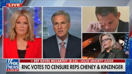 Kevin McCarthy talks about Liz Cheney and Adam Kinzinger