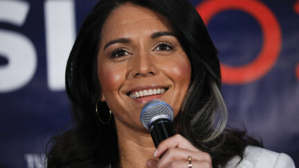 Tulsi Gabbard