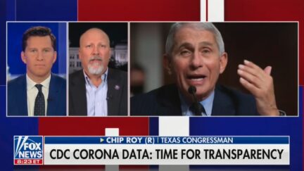 Chip Roy talking about Fauci