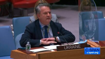 Sergiy Kyslytsya at the United Nations