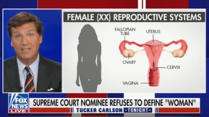Tucker Carlson Defines Women