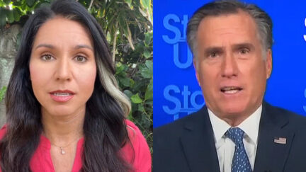 Tulsi Gabbard vs Mitt Romney