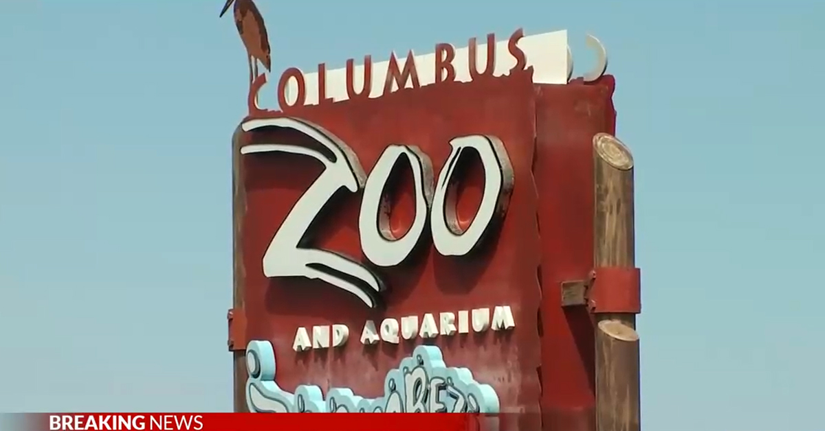 Columbus Zoo and Aquarium Taser Traffic Incident Results in Active Shooter Panic