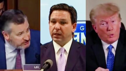 DeSantis Absolutely Clobbers Ted Cruz in Texas Primary Poll — But Trails Trump By More Than Double