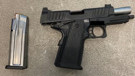 Madison Cawthorn's Gun
