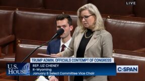 Liz Cheney floor speech