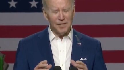 Did a Bird Poop on Joe Biden?