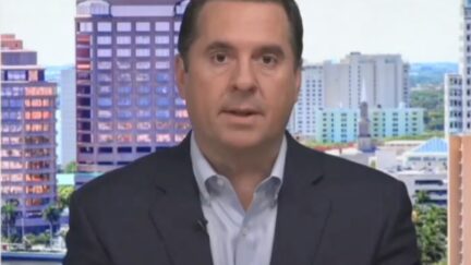 Devin Nunes: Trump 'Encouraged' Elon Musk to Buy Twitter