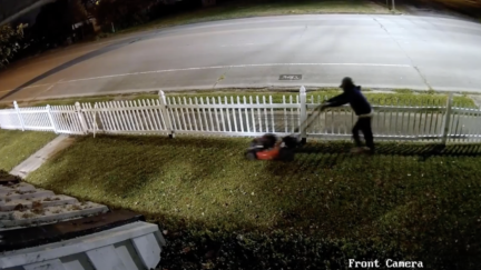Burglar Steals Mower, But Mows Victim's Lawn First: Police