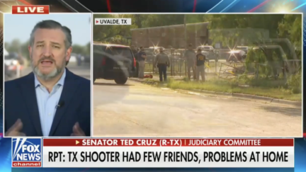 Ted Cruz Floats School Door Control to Prevent Shootings