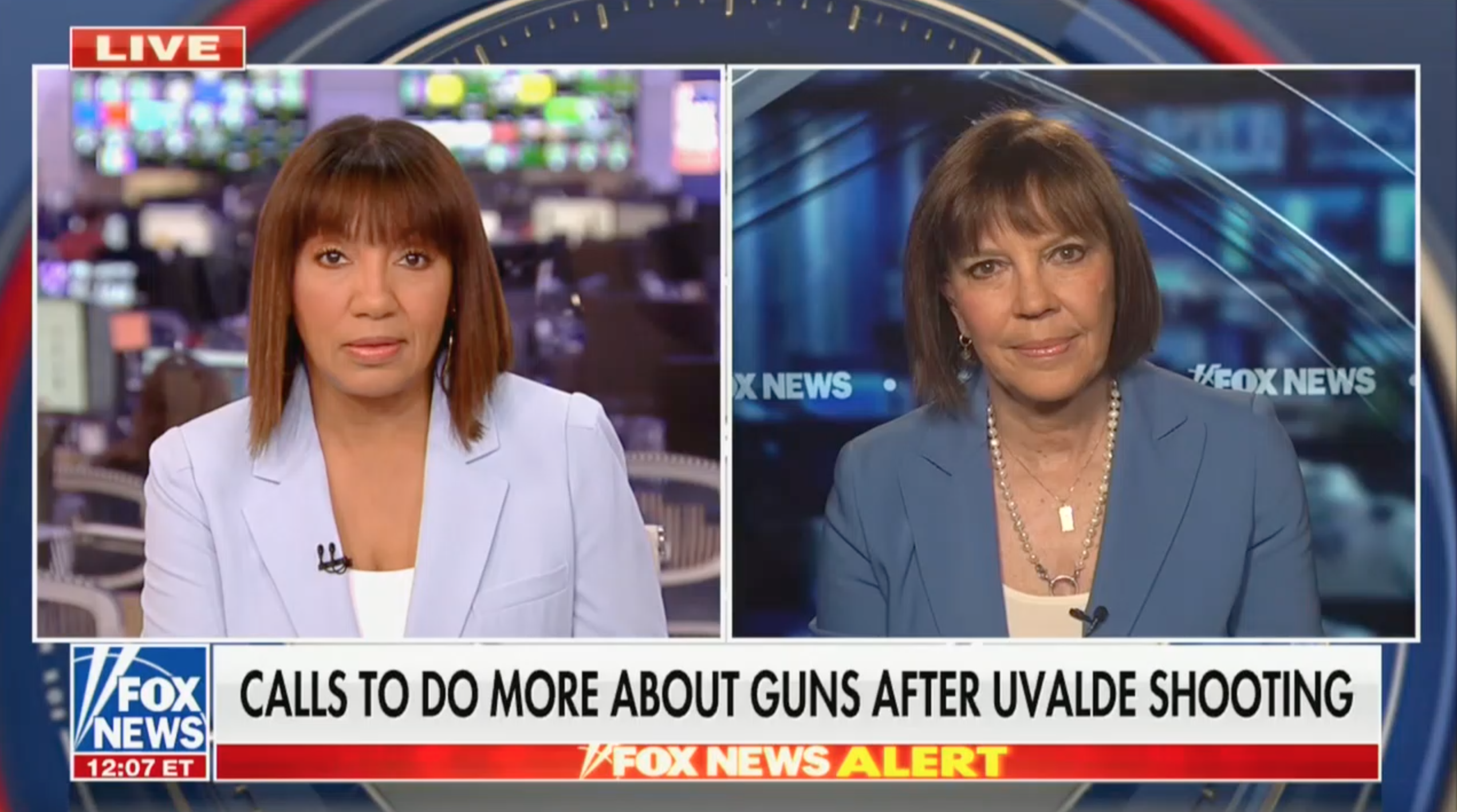 Arthel Neville and Judy Miller discuss gun reform