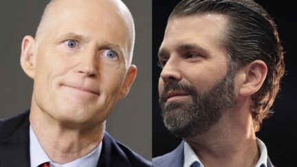 Don Jr Outpolling Rick Scott for Florida Senate Bid per Trump Pollster