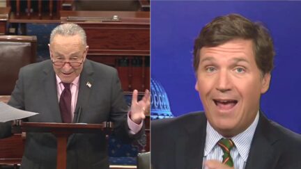 Chuck Schumer Destroys Tucker Carlson on Senate Floor Over New Replacement Theory Rant