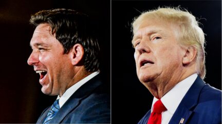 DeSantis Flattens Trump By 15 Points in 3-Way Race with Biden - Among TRUMP Voters