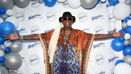 dennis rodman