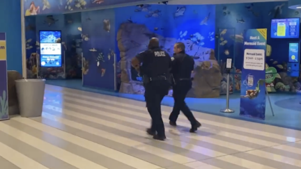 Mall of America Locked Down