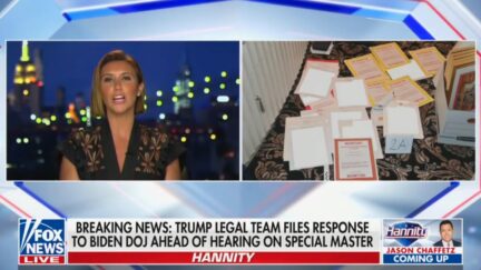 Alina Habba on Hannity