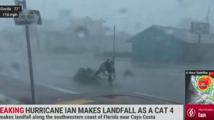 Jim Cantore gets taken out by tree limb