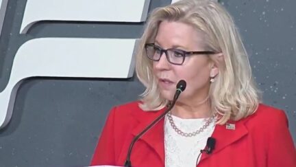 Liz Cheney
