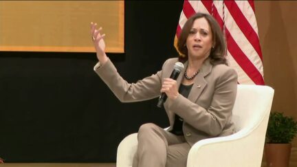 'How Dare They!' VP Kamala Harris Says Democrats 'Need To Take Back The Flag' On Abortion Rights