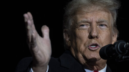 Donald Trump in Ohio on Nov. 7