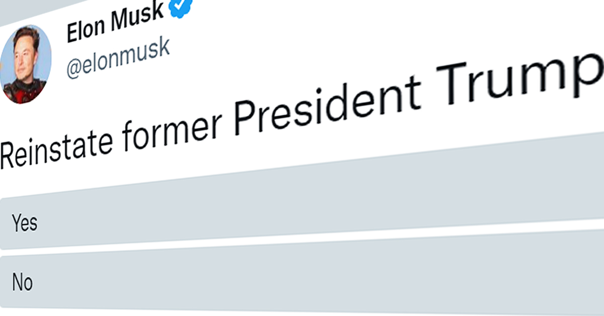 Yes Leads No As Musk Poll On Trump Twitter Return Nears End 