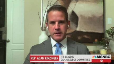 Adam Kinzinger blasts fellow Republicans over Paul Paul attack