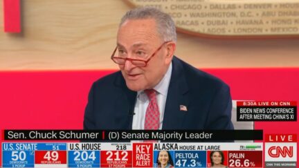 Chuck Schumer Telling McConnell to Ditch 'MAGA Republicans' Over Midterm Results