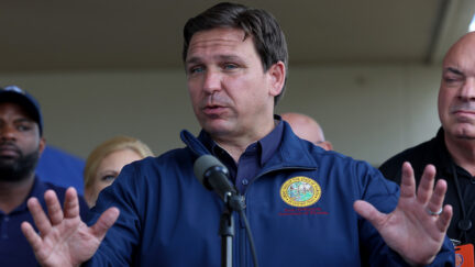 Ron DeSantis Telling Donors He's Not Challenging Trump in 2024 — Report