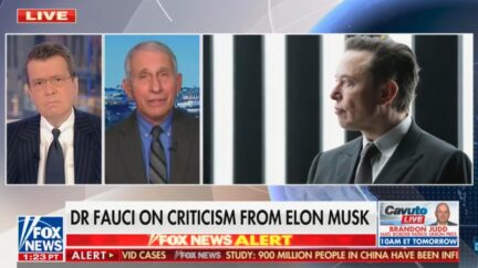 Fauci reacts to Elon Musk