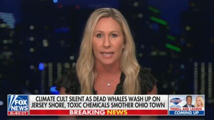 Marjorie Taylor Greene on Hannity