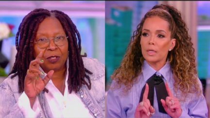 View Hosts Suggest Fox News Be Investigated For 'Recruiting Domestic Terrorists' By Justice Dept.