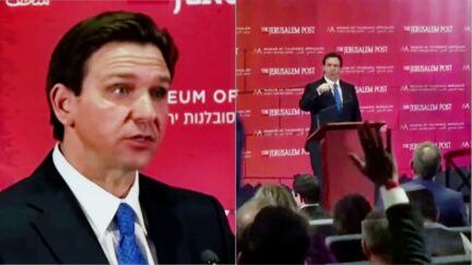 WATCH Ron DeSantis Completely Loses His Sht Screaming at Reporter Over Torture Allegations