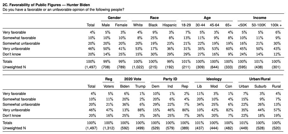 Dumb Hunter Biden poll