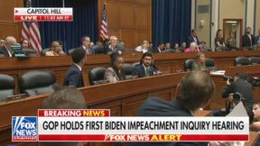 House Biden Impeachment Hearing Goes Sideways